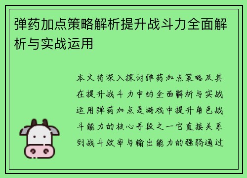 弹药加点策略解析提升战斗力全面解析与实战运用